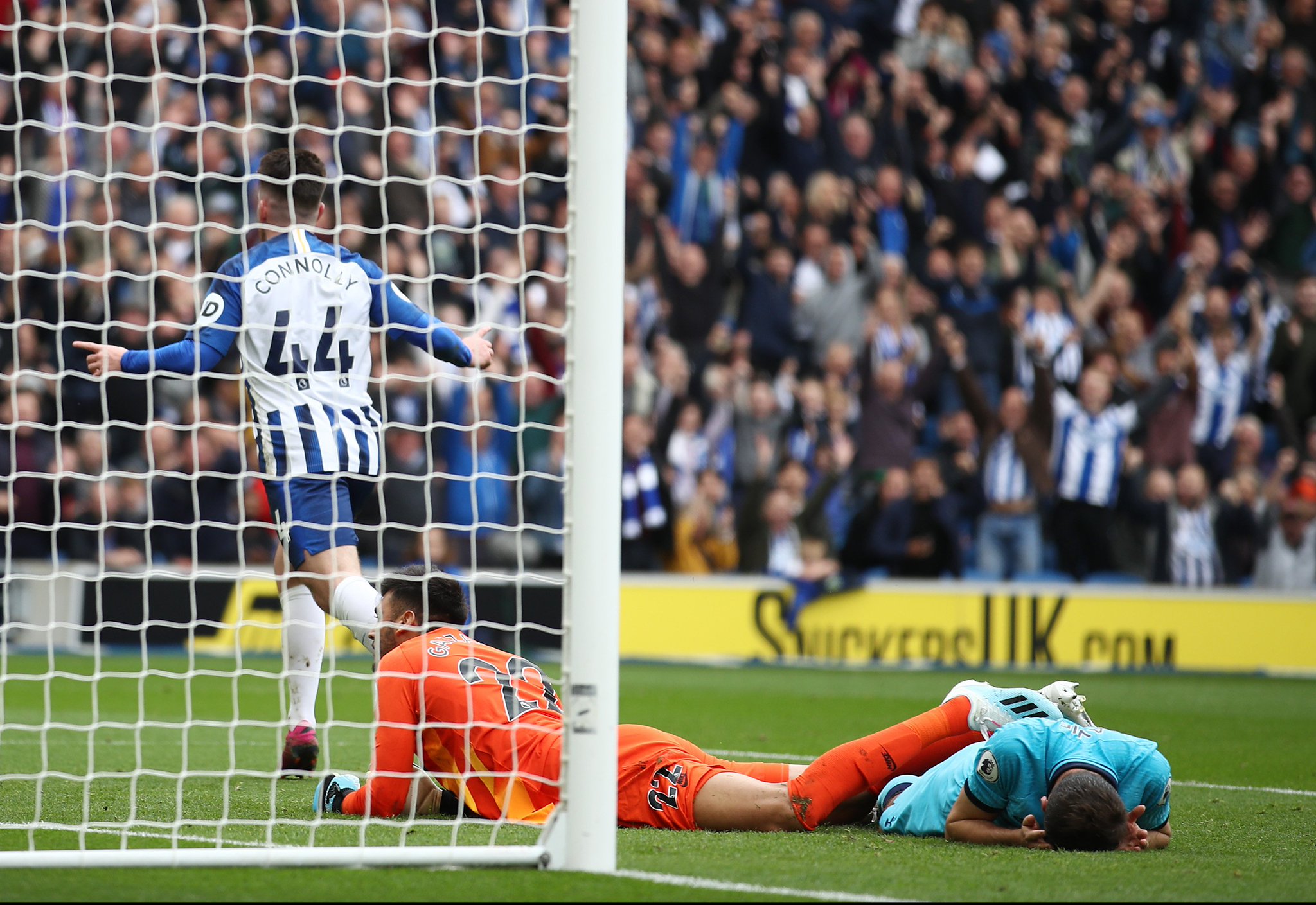 多种语言环 多种语言环